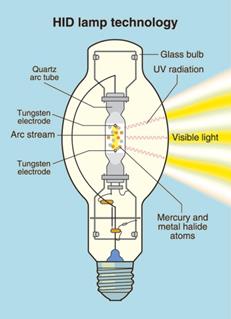 http://www.ledwatcher.com/wp-content/uploads/2016/03/how-do-hid-lights-work.jpg